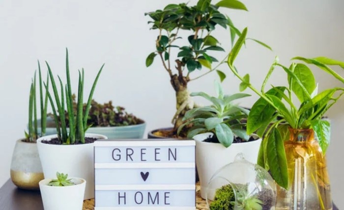 Sustainable Living - 10 Best Eco Friendly Home Decor Products